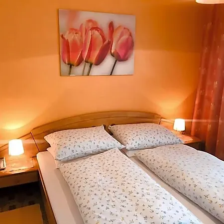 Braunegger-hof Mayer 3* Braunegg